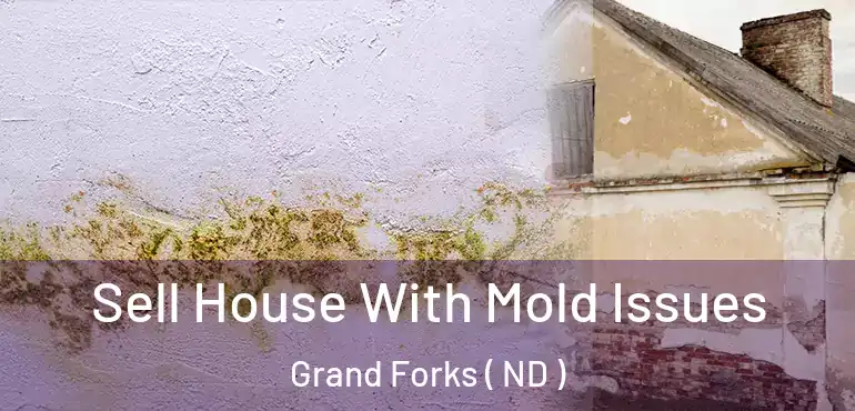 Sell House With Mold Issues Grand Forks ( ND )