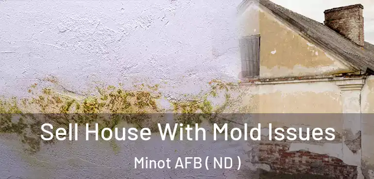  Sell House With Mold Issues Minot AFB ( ND )
