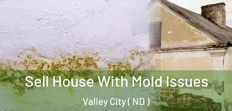 Sell House With Mold Issues Valley City ( ND )