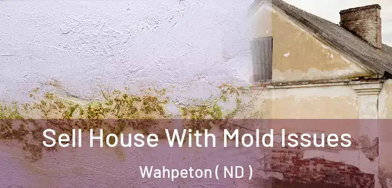 Sell House With Mold Issues Wahpeton ( ND )